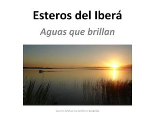 Esteros del Iberá
 Aguas que brillan




    Cáceres Amalia Elisa-Seminario Geografía
 