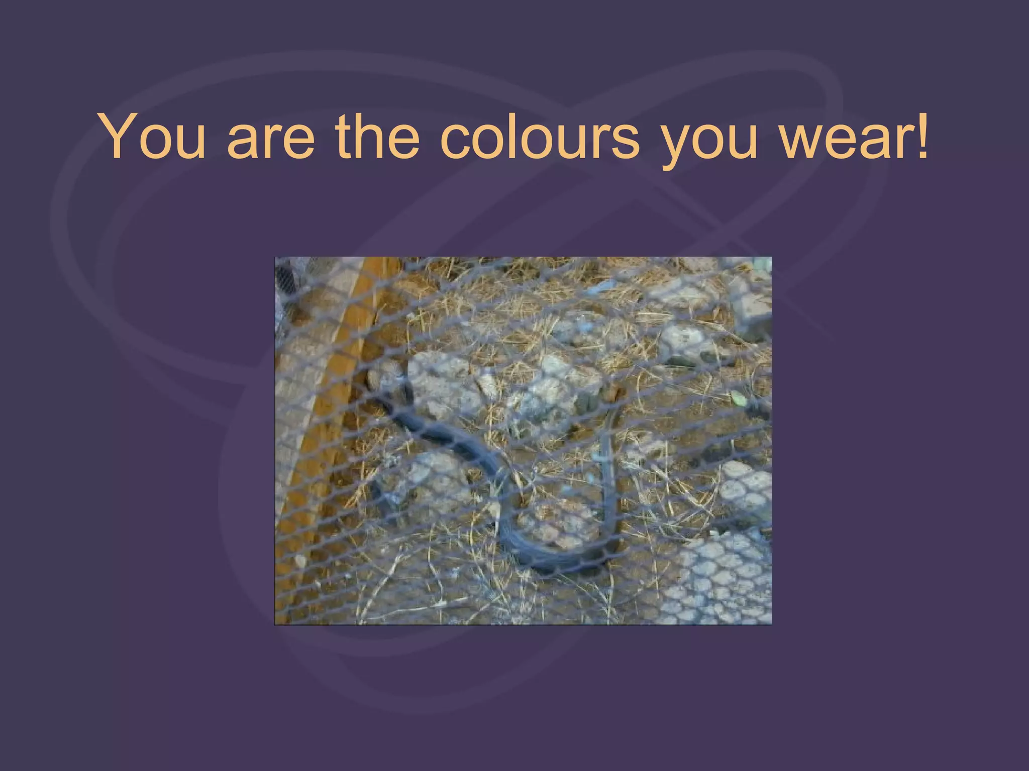 You are the colours you wear!
 
