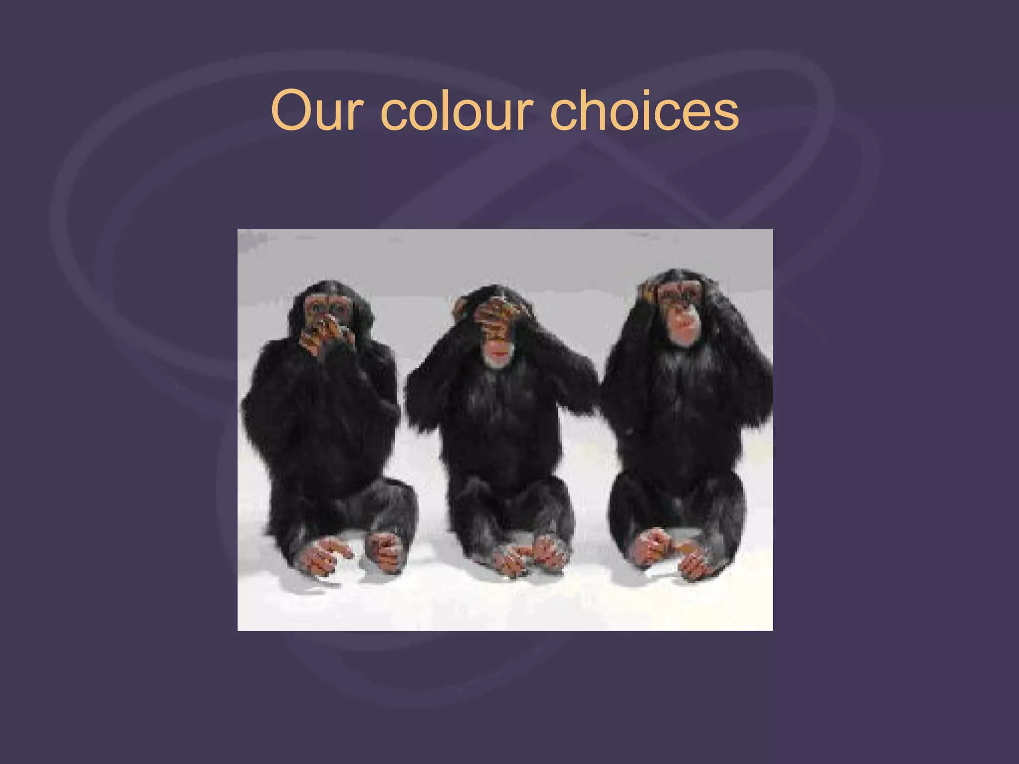 Our colour choices
 