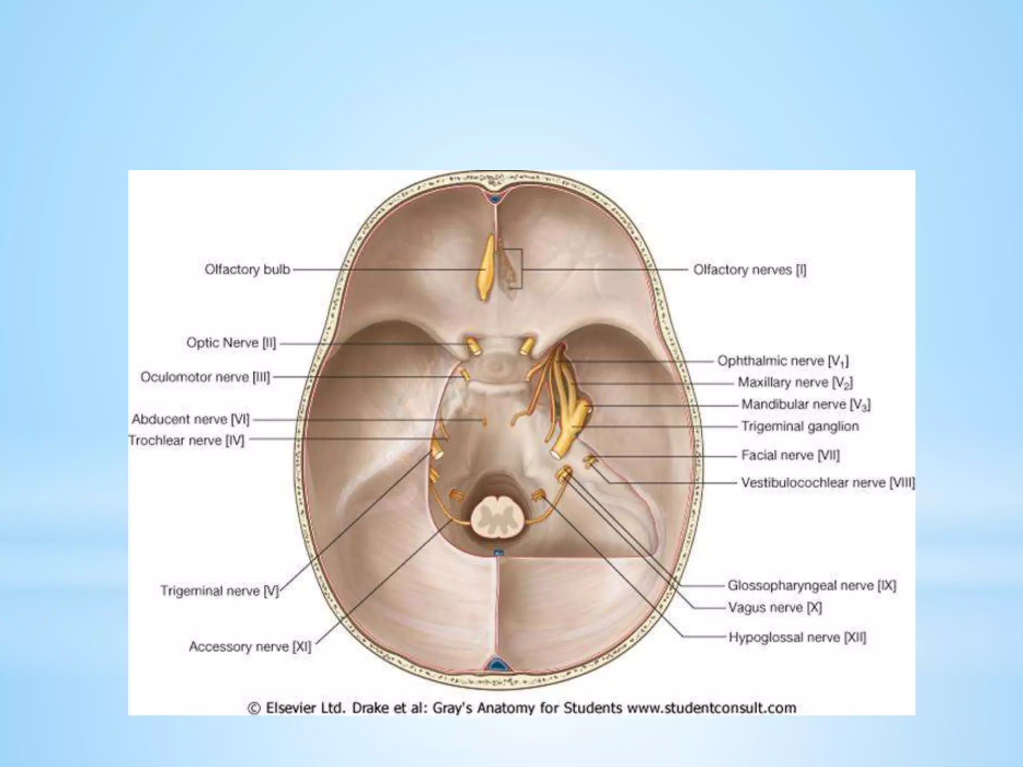 Men gilosimni tasodifan sindirib tashladim.