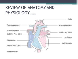 REVIEW OF ANATOMYAND
PHYSIOLOGY……
 