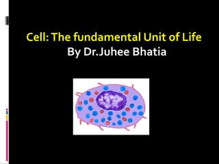 Cell:The fundamental Unit of Life
By Dr.Juhee Bhatia
 