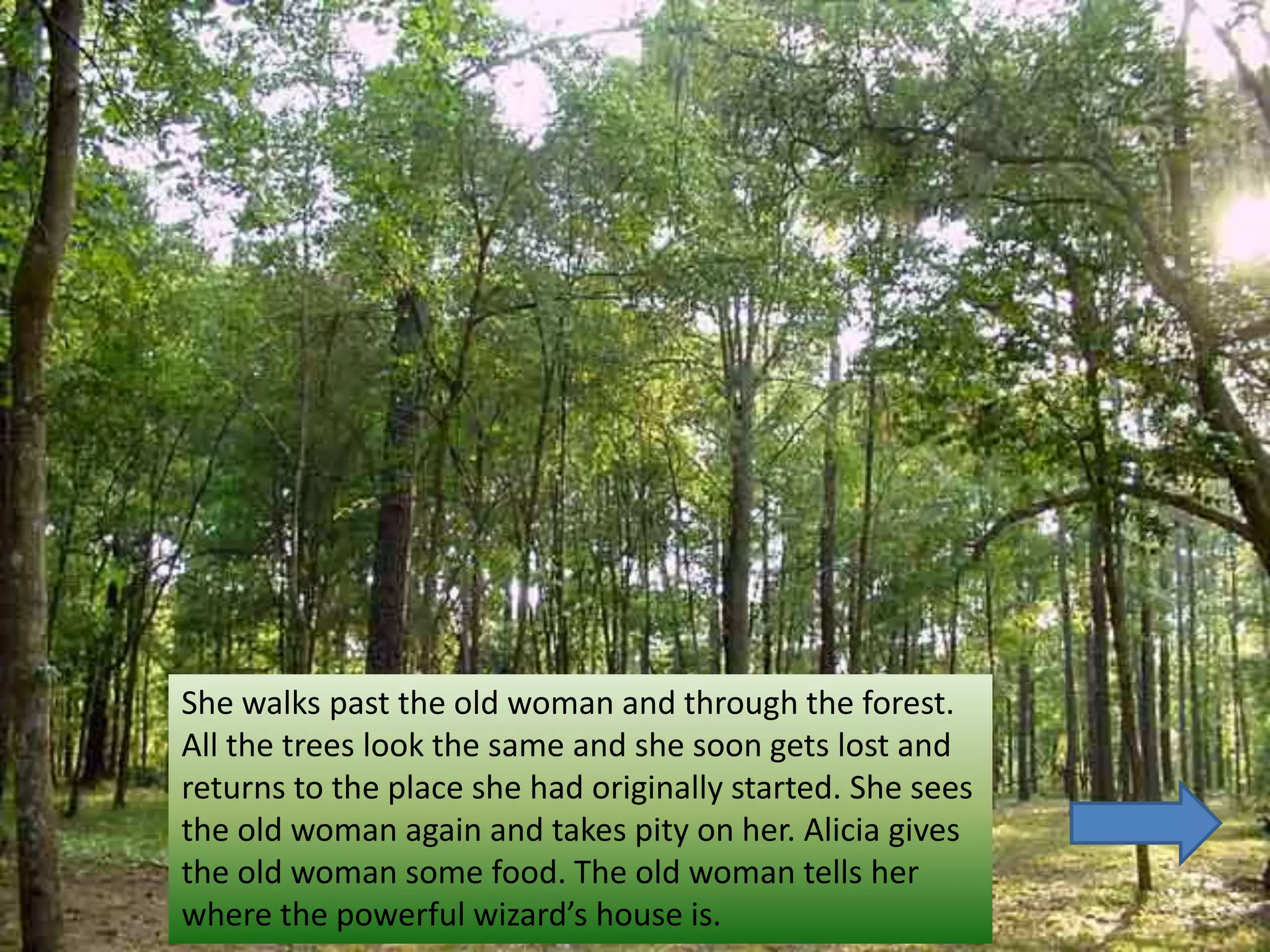 She walks past the old woman and through the forest.
All the trees look the same and she soon gets lost and
returns to the place she had originally started. She sees
the old woman again and takes pity on her. Alicia gives
the old woman some food. The old woman tells her
where the powerful wizard’s house is.
 