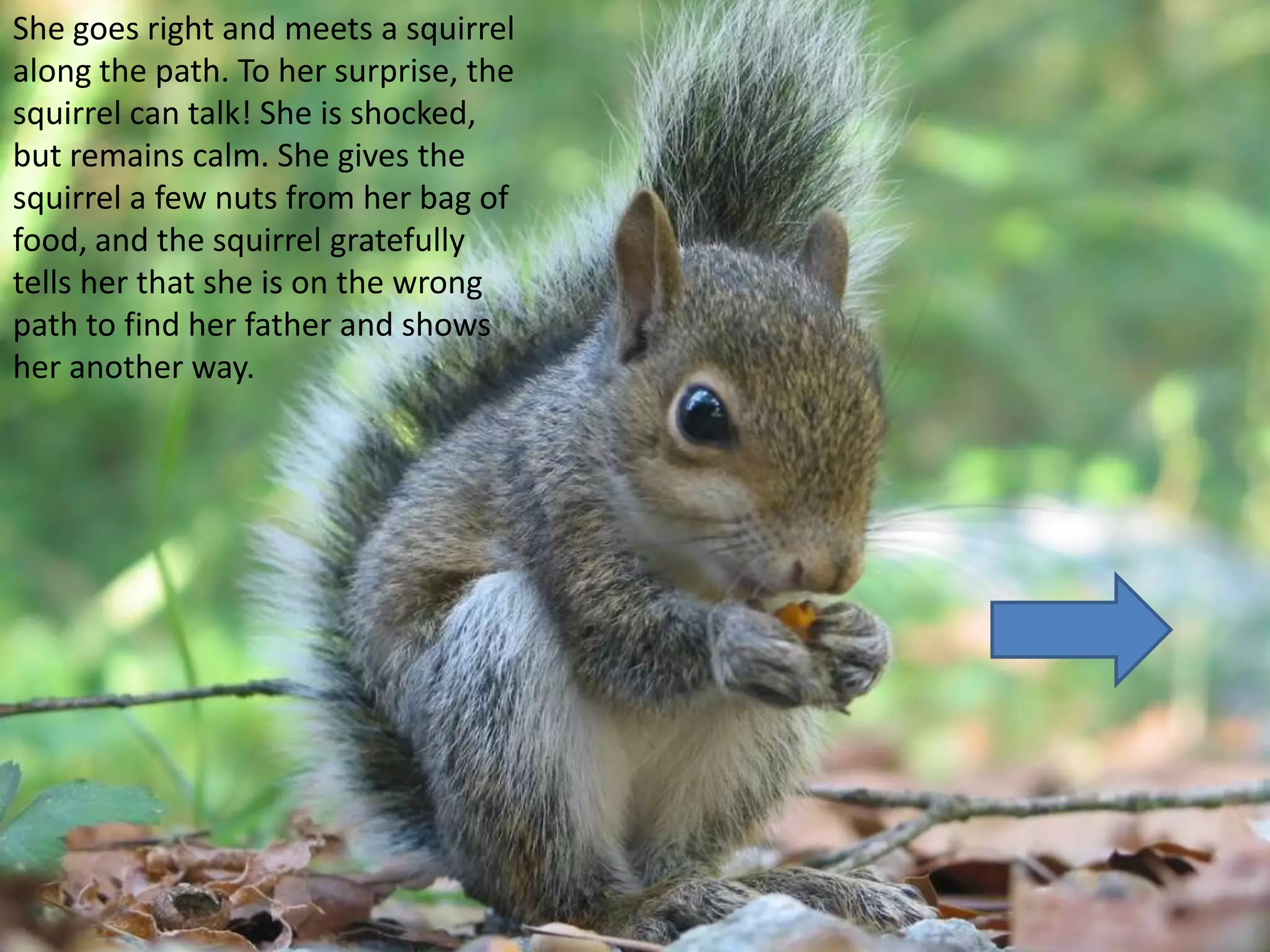 She goes right and meets a squirrel
along the path. To her surprise, the
squirrel can talk! She is shocked,
but remains calm. She gives the
squirrel a few nuts from her bag of
food, and the squirrel gratefully
tells her that she is on the wrong
path to find her father and shows
her another way.
 