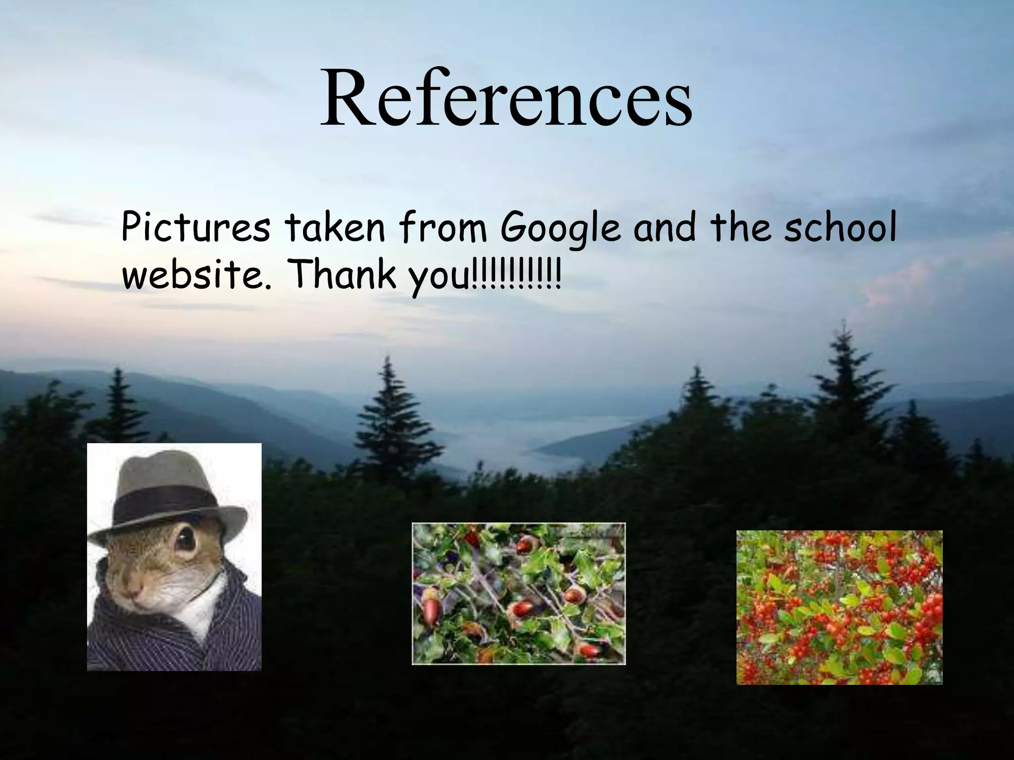 References
Pictures taken from Google and the school
website. Thank you!!!!!!!!!!
 