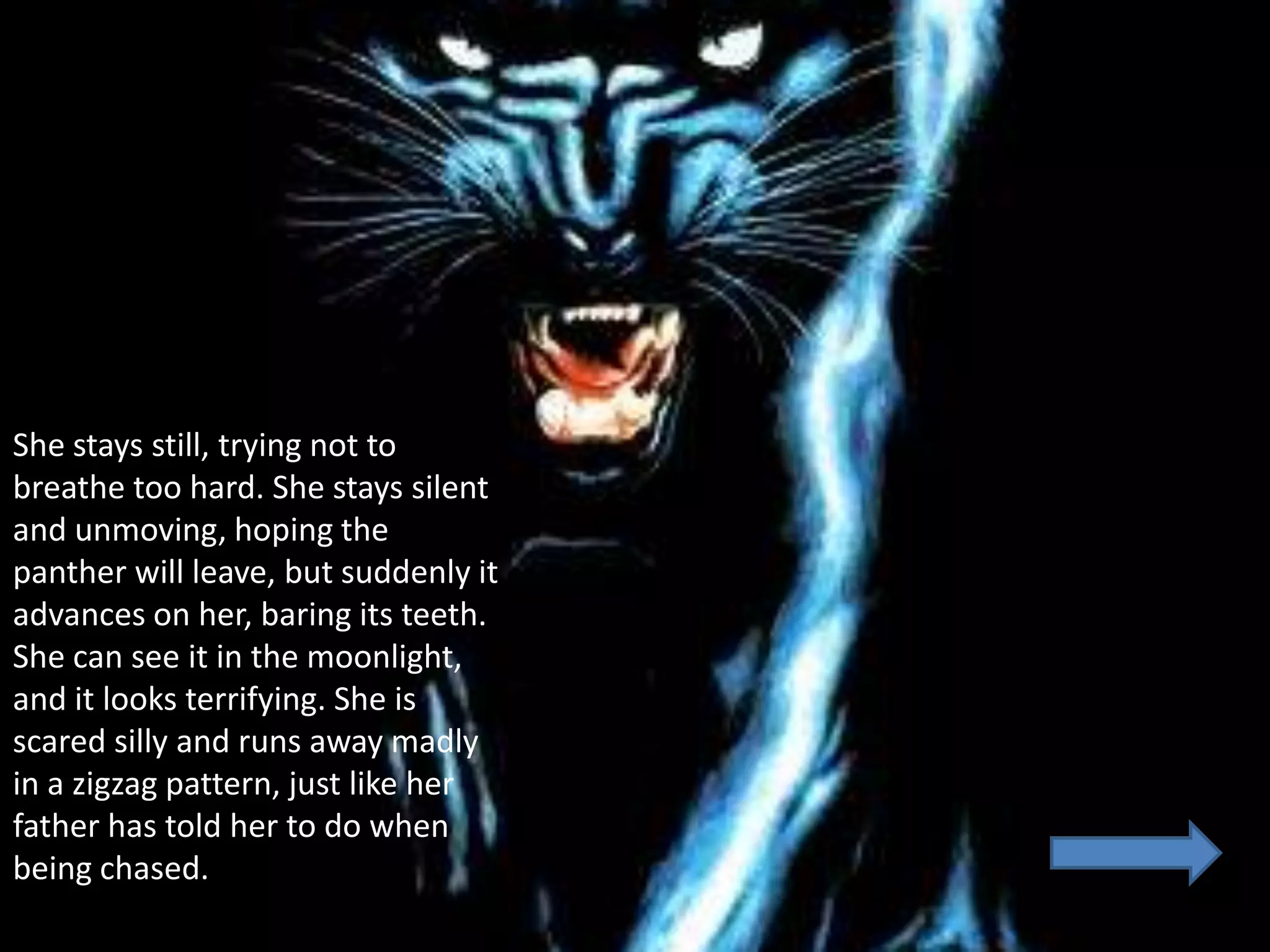She stays still, trying not to
breathe too hard. She stays silent
and unmoving, hoping the
panther will leave, but suddenly it
advances on her, baring its teeth.
She can see it in the moonlight,
and it looks terrifying. She is
scared silly and runs away madly
in a zigzag pattern, just like her
father has told her to do when
being chased.
 