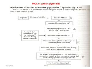 MOA of cardiac glycosides
10/16/2019 13PATKI
 