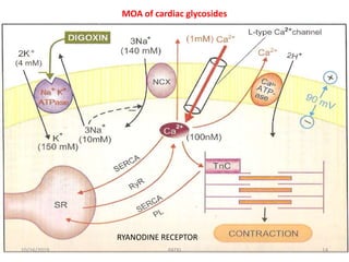 MOA of cardiac glycosides
10/16/2019 14PATKI
RYANODINE RECEPTOR
 