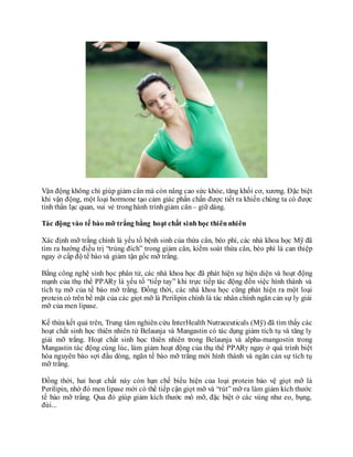 Vận động không chỉ giúp giảm cân mà còn nâng cao sức khỏe, tăng khối cơ, xương. Đặc biệt
khi vận động, một loại hormone tạo cảm giác phấn chấn được tiết ra khiến chúng ta có được
tinh thần lạc quan, vui vẻ tronghành trìnhgiảm cân– giữ dáng.
Tác động vào tế bào mỡ trắng bằng hoạt chất sinhhọc thiênnhiên
Xác định mỡ trắng chính là yếu tố bệnh sinh của thừa cân, béo phì, các nhà khoa học Mỹ đã
tìm ra hướng điều trị “trúng đích” trong giảm cân, kiểm soát thừa cân, béo phì là can thiệp
ngay ở cấp độ tế bào và giảm tận gốc mỡ trắng.
Bằng công nghệ sinh học phân tử, các nhà khoa học đã phát hiện sự hiện diện và hoạt động
mạnh của thụ thể PPARγ là yếu tố “tiếp tay” khi trực tiếp tác động đến việc hình thành và
tích tụ mỡ của tế bào mỡ trắng. Đồng thời, các nhà khoa học cũng phát hiện ra một loại
protein có trên bề mặt của các giọt mỡ là Perilipin chính là tác nhân chính ngăn cản sự ly giải
mỡ của men lipase.
Kế thừa kết quả trên, Trung tâm nghiên cứu InterHealth Nutraceuticals (Mỹ) đã tìm thấy các
hoạt chất sinh học thiên nhiên từ Belaunja và Mangastin có tác dụng giảm tích tụ và tăng ly
giải mỡ trắng. Hoạt chất sinh học thiên nhiên trong Belaunja và alpha-mangostin trong
Mangastin tác động cùng lúc, làm giảm hoạt động của thụ thể PPARγ ngay ở quá trình biệt
hóa nguyên bào sợi đầu dòng, ngăn tế bào mỡ trắng mới hình thành và ngăn cản sự tích tụ
mỡ trắng.
Đồng thời, hai hoạt chất này còn hạn chế biểu hiện của loại protein bảo vệ giọt mỡ là
Perilipin, nhờ đó men lipase mới có thể tiếp cận giọt mỡ và “rút” mỡ ra làm giảm kích thước
tế bào mỡ trắng. Qua đó giúp giảm kích thước mô mỡ, đặc biệt ở các vùng như eo, bụng,
đùi...
 