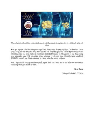 Hoạt chất sinh họcthiênnhiêntừ Belaunja và Mangastin làm giảm tích tụ và tăng ly giải mỡ
trắng
Kết quả nghiên cứu lâm sàng trên người sử dụng được Trường đại học California - Davis
(Mỹ) công bố mới đây cho thấy: Nhờ cơ chế can thiệp tận gốc vào yếu tố bệnh sinh của quá
trình tăng cân, các hoạt chất sinh học thiên nhiên từ Belaunja và Mangastin có tác dụng trong
việc giảm cân nặng (5,2 kg), giảm số đo vòng eo (11,9 cm), vòng hông (6,3 cm) và chỉ số
BMI (5,2 kg/m3) sau 8 tuần sử dụng và rất an toàncho người sử dụng.
Với 3 nguyên tắc vàng giảm cân triệt để, người thừa cân – béo phì có thể biến ước mơ sở hữu
vóc dáng thon gọn thành sự thực.
Kim Dung
Giảng viên ĐHYD TPHCM
 