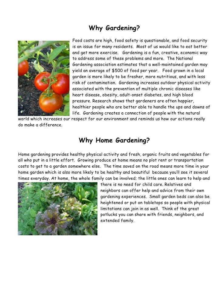 A Guide to Growing Small Scale Food Gardening Projects - Food Gardeni…