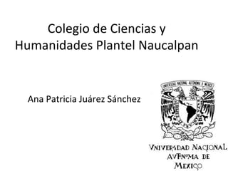 Colegio de Ciencias y
Humanidades Plantel Naucalpan
Ana Patricia Juárez Sánchez
 