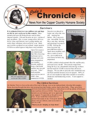 Cody’s
Chronicle
News from the Copper Country Humane SocietyNews from the Copper Country Humane Society
It is estimated that over one million cats and dogs
are hit by cars each year in this country. Most
animals end up with broken bones and/or other
internal injuries. Ole and Sweetie are two victims of
such accidents. Ole, a sweet young yellow lab was
hit by a bus, and Sweetie was a young mother cat
with a litter of kittens who was hit by a car. Both
survived the accident but not without major injuries.
CCHS was called upon to help these stray animals.
Upon Vet exam it
was determined
that Ole’s front leg
had major nerve
damage and com-
plete amputation
was needed.
Sweetie suffered
from a bad break
and her leg was put
in a cast. After
both animals
received vet care at
AMC, they
returned to CCHS.
Sweetie was placed in
foster care since she was
still nursing her
babies. Ole’s recovery
was incredible. He was
like a new dog meeting
and greeting everyone at
CCHS. Having the
lame leg removed,
provided him with so
much more mobility and
after a week of recov-
ery, you would never
even know he had a leg
amputated.
CCHS is called to help animals like Ole and Sweetie
each and every month. The reasons range from
being hit by a car, abandoned and starving or abuse
but the need for CCHS to answer that call never
changes. We are able to provide such wonderful care
for these animals because of your support. 100% of
all vet care needed to help these animals is raised by
donations and fundraising events. Your support is
needed.
Fall/
Winter
2010
Survivors
The Littlest Survivors
On October 23rd, in a box on the side of the road in Baraga, were seven malnourished, shivering little puppies.
Bones showing through their skin, hair missing from their bodies, and no food in their belly. These seven little
survivors soon found a safe haven, a warm place to curl up, plenty of food and
water and lots of love at CCHS. These are the
animals you are helping, and we so appreciate
your support. You provide us the gift to save
lives. If you would like to know how to
sponsor these pups or any of our great animals
please visit our website, send us an email or
give us a call.
Thank you for helping us help them!
Ole post amputation and
recovered well at CCHS
Sweetie doing well in a cast
 