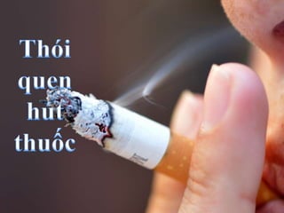 5 bí quyết xác định loại da để trị mụn