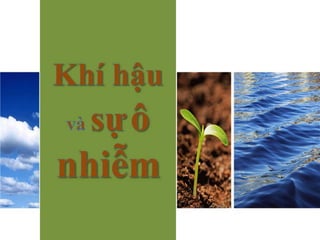 5 bí quyết xác định loại da để trị mụn