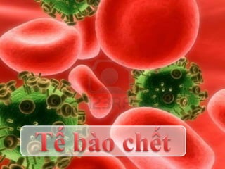 5 bí quyết xác định loại da để trị mụn