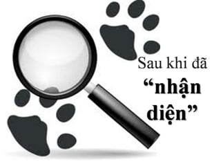 5 bí quyết xác định loại da để trị mụn