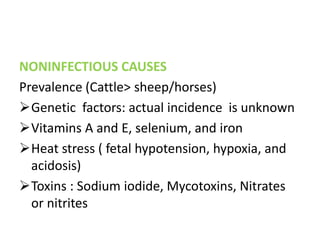 NONINFECTIOUS CAUSES
Prevalence (Cattle> sheep/horses)
Genetic factors: actual incidence is unknown
Vitamins A and E, selenium, and iron
Heat stress ( fetal hypotension, hypoxia, and
acidosis)
Toxins : Sodium iodide, Mycotoxins, Nitrates
or nitrites
 