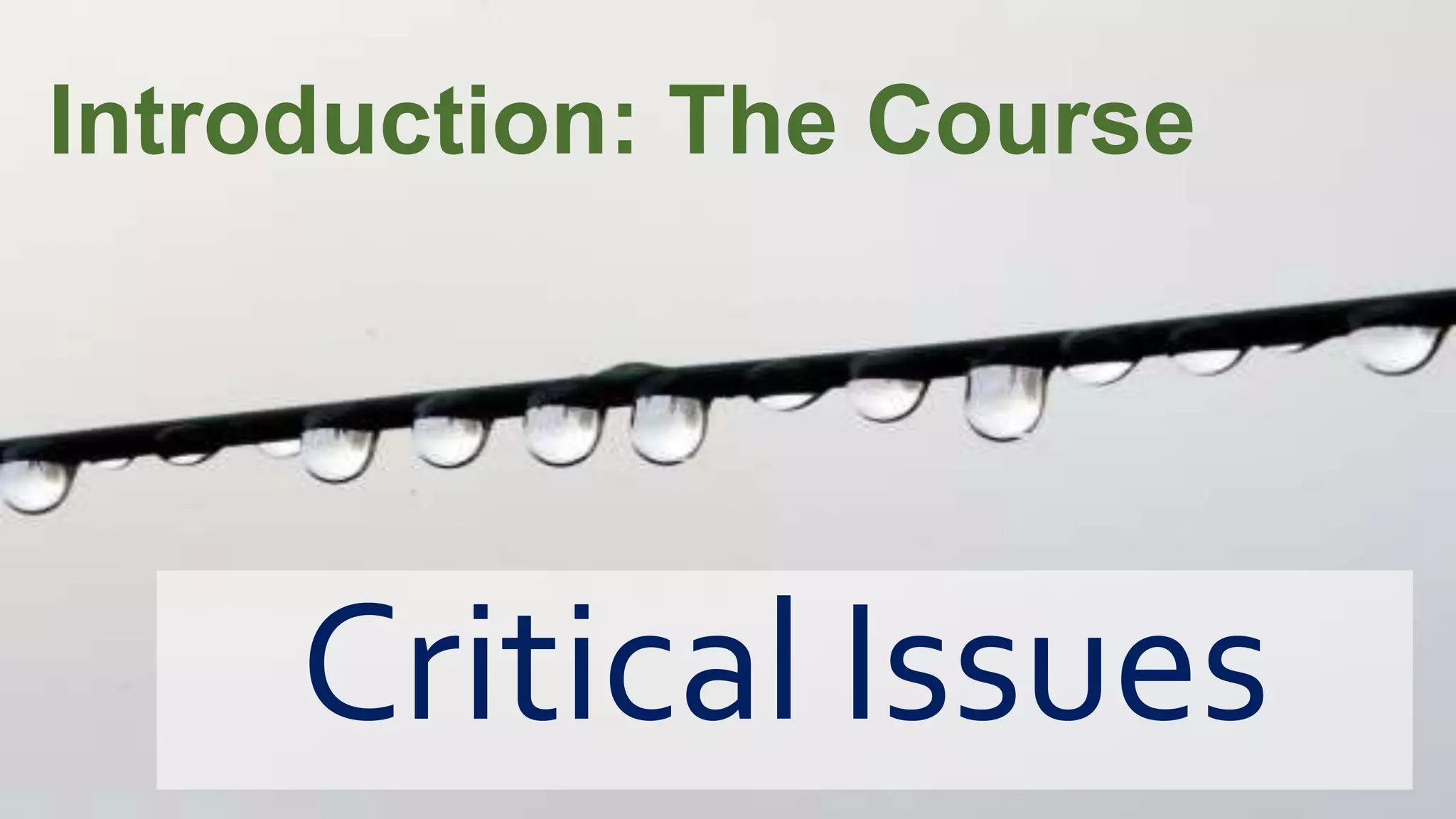 Critical Issues
Introduction: The Course
 