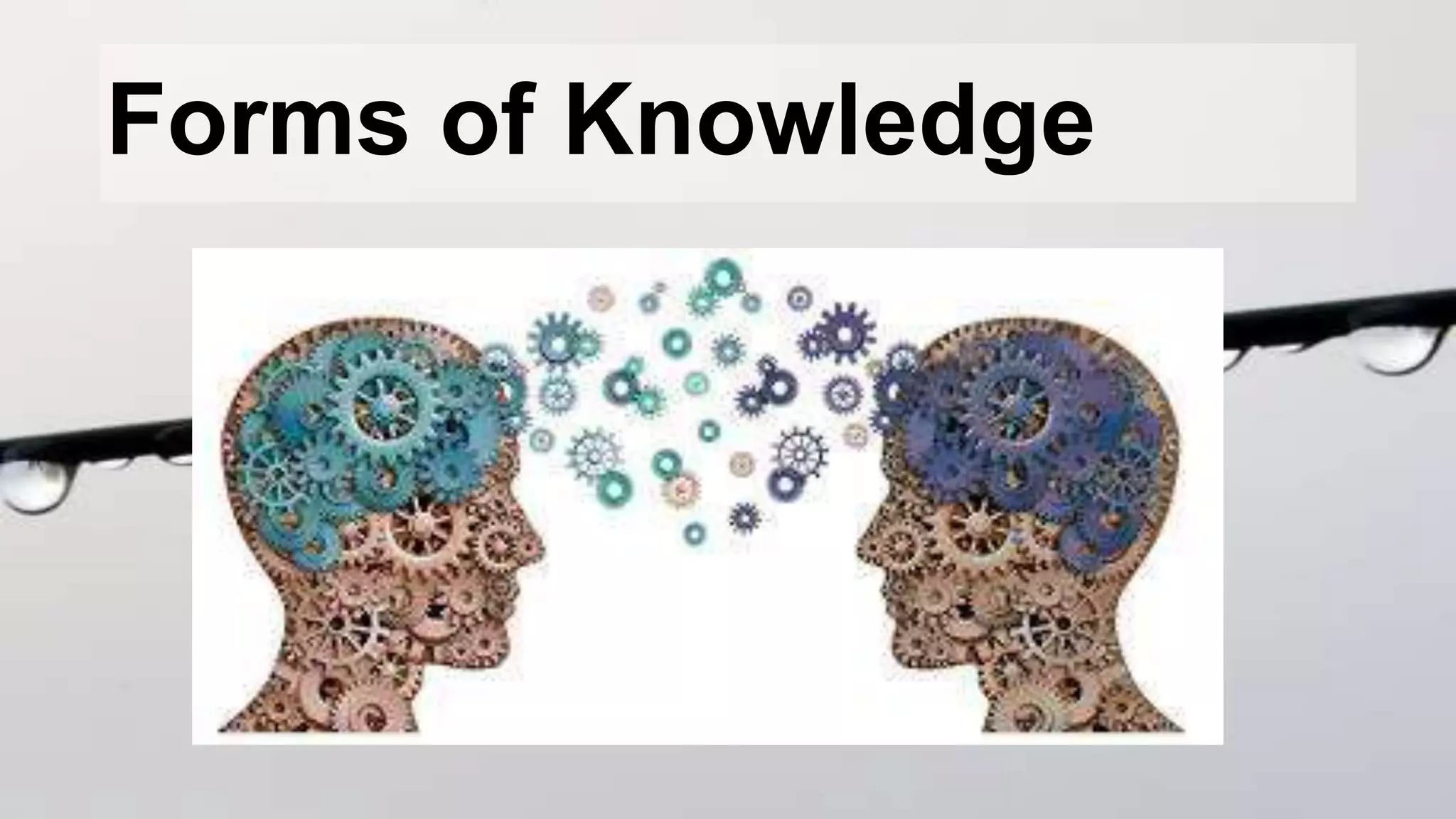Forms of Knowledge
 