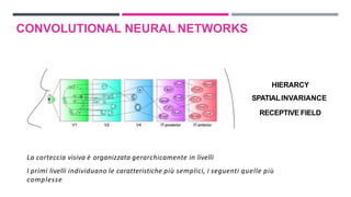CONVOLUTIONAL NEURAL NETWORKS
La corteccia visiva è organizzata gerarchicamente in livelli
I primi livelli individuano le caratteristiche più semplici, i seguenti quelle più
complesse
HIERARCY
SPATIALINVARIANCE
RECEPTIVE FIELD
 