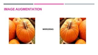 MIRRORING
IMAGE AUGMENTATION
 