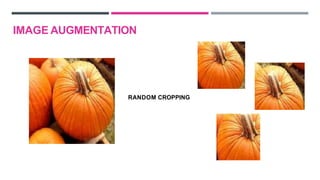 RANDOM CROPPING
IMAGE AUGMENTATION
 