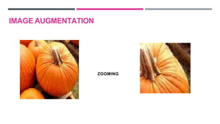 ZOOMING
IMAGE AUGMENTATION
 