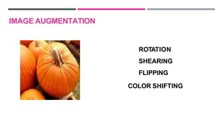 ROTATION
SHEARING
FLIPPING
COLOR SHIFTING
IMAGE AUGMENTATION
 