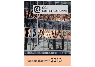 Rapport d’activité 2013
 