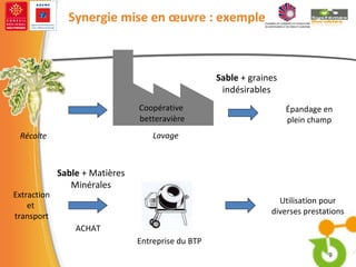 Coopérative  betteravière Lavage  Sable  + graines indésirables Épandage en plein champ Entreprise du BTP  Synergie mise en œuvre : exemple Récolte  Sable  + Matières Minérales Utilisation pour diverses prestations  ACHAT  Extraction et  transport 