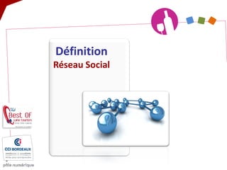 Définition Réseau Social  
