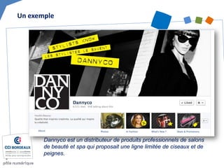 Un exemple 
Dannyco est un distributeur de produits professionnels de salons de beauté et spa qui proposait une ligne limitée de ciseaux et de peignes.  