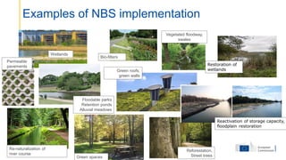 Examples of NBS implementation
Re-naturalization of
river course
Permeable
pavements
Reforestation,
Street trees
Wetlands
Bio-filters
Green spaces
Floodable parks
Retention ponds
Alluvial meadows
Restoration of
wetlands
Reactivation of storage capacity,
floodplain restoration
Green roofs,
green walls
Vegetated floodway,
swales
 