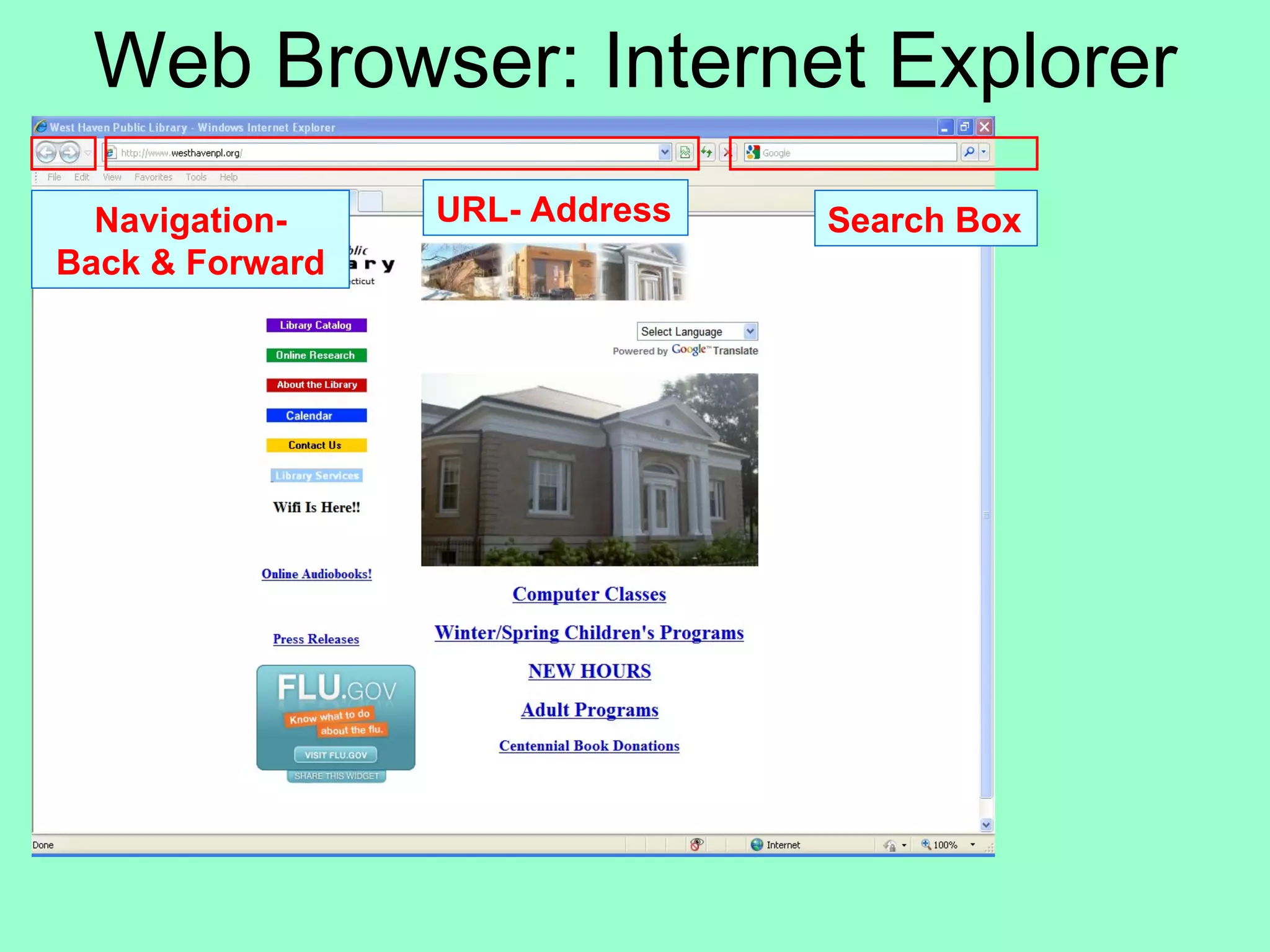 Web Browser: Internet Explorer URL- Address Navigation- Back & Forward Search Box 