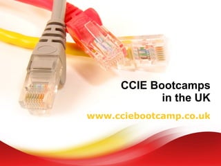 CCIE Bootcamps in the UK www.cciebootcamp.co.uk 