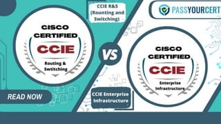 CCIE R&S vs. CCIE Enterprise Infrastructure
 