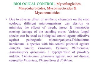 BIOLOGICAL CONTROL- Mycofungicides,
Mmycoherbicides, Mycoinsecticides &
Myconemaicides
• Due to adverse effect of synthetic chemicals on the crop
ecology, different microorganisms can destroy or
minimize the effects of weeds, insect & nematodes
causing damage of the standing crops. Various fungal
species can be used as biological control agents effective
against pathogenic microorganisms.Trichoderma
harzianum –a species with bio-control potential against
Botrytis cineria, Fusarium, Pythium, Rhizoctonia;
Ampelomyces quisqualis- a hyperparasite of powdery
mildew, Chaetomium globosum against root rot disease
caused by Fusarium, Phytopthora & Pythium.
 