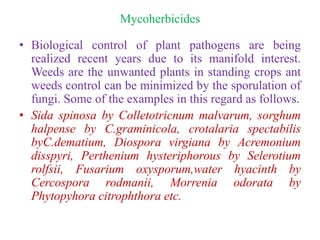 Mycoherbicides
• Biological control of plant pathogens are being
realized recent years due to its manifold interest.
Weeds are the unwanted plants in standing crops ant
weeds control can be minimized by the sporulation of
fungi. Some of the examples in this regard as follows.
• Sida spinosa by Colletotricnum malvarum, sorghum
halpense by C.graminicola, crotalaria spectabilis
byC.dematium, Diospora virgiana by Acremonium
disspyri, Perthenium hysteriphorous by Selerotium
rolfsii, Fusarium oxysporum,water hyacinth by
Cercospora rodmanii, Morrenia odorata by
Phytopyhora citrophthora etc.
 