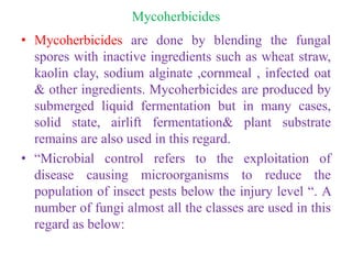 Mycoherbicides
• Mycoherbicides are done by blending the fungal
spores with inactive ingredients such as wheat straw,
kaolin clay, sodium alginate ,cornmeal , infected oat
& other ingredients. Mycoherbicides are produced by
submerged liquid fermentation but in many cases,
solid state, airlift fermentation& plant substrate
remains are also used in this regard.
• “Microbial control refers to the exploitation of
disease causing microorganisms to reduce the
population of insect pests below the injury level “. A
number of fungi almost all the classes are used in this
regard as below:
 