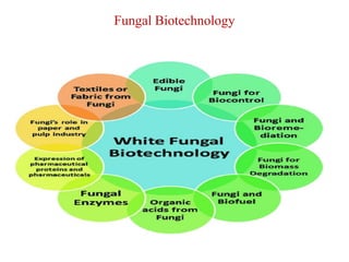 Fungal Biotechnology
 