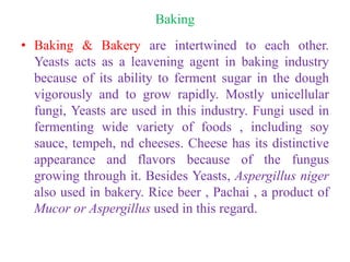 Baking
• Baking & Bakery are intertwined to each other.
Yeasts acts as a leavening agent in baking industry
because of its ability to ferment sugar in the dough
vigorously and to grow rapidly. Mostly unicellular
fungi, Yeasts are used in this industry. Fungi used in
fermenting wide variety of foods , including soy
sauce, tempeh, nd cheeses. Cheese has its distinctive
appearance and flavors because of the fungus
growing through it. Besides Yeasts, Aspergillus niger
also used in bakery. Rice beer , Pachai , a product of
Mucor or Aspergillus used in this regard.
 