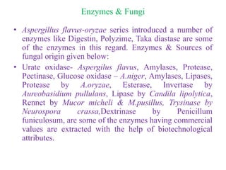Enzymes & Fungi
• Aspergillus flavus-oryzae series introduced a number of
enzymes like Digestin, Polyzime, Taka diastase are some
of the enzymes in this regard. Enzymes & Sources of
fungal origin given below:
• Urate oxidase- Aspergilus flavus, Amylases, Protease,
Pectinase, Glucose oxidase – A.niger, Amylases, Lipases,
Protease by A.oryzae, Esterase, Invertase by
Aureobasidium pullulans, Lipase by Candila lipolytica,
Rennet by Mucor micheli & M.pusillus, Trysinase by
Neurospora crassa,Dextrinase by Penicillum
funiculosum, are some of the enzymes having commercial
values are extracted with the help of biotechnological
attributes.
 