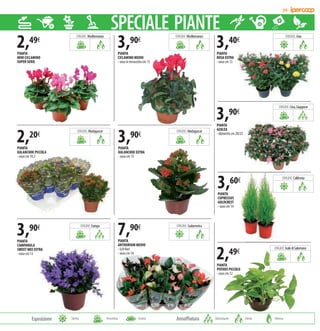 Volantino IperCoop Offerte