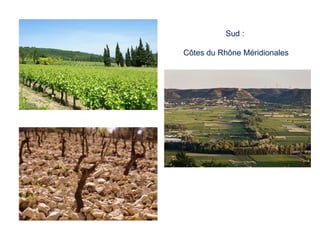 Sud :
Côtes du Rhône Méridionales
 