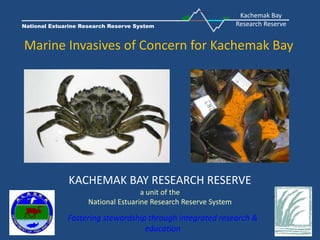 Kachemak Bay Research Reserve National Estuarine Research Reserve System Marine Invasives of Concern for Kachemak Bay KACHEMAK BAY RESEARCH RESERVEa unit of theNational Estuarine Research Reserve System Fostering stewardship through integrated research & education 