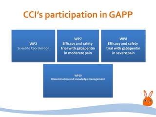 CCI’s participation in GAPP
 