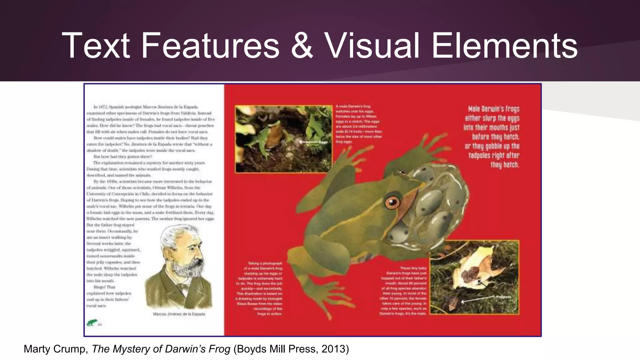 Text Features & Visual Elements
Marty Crump, The Mystery of Darwin’s Frog (Boyds Mill Press, 2013)
 