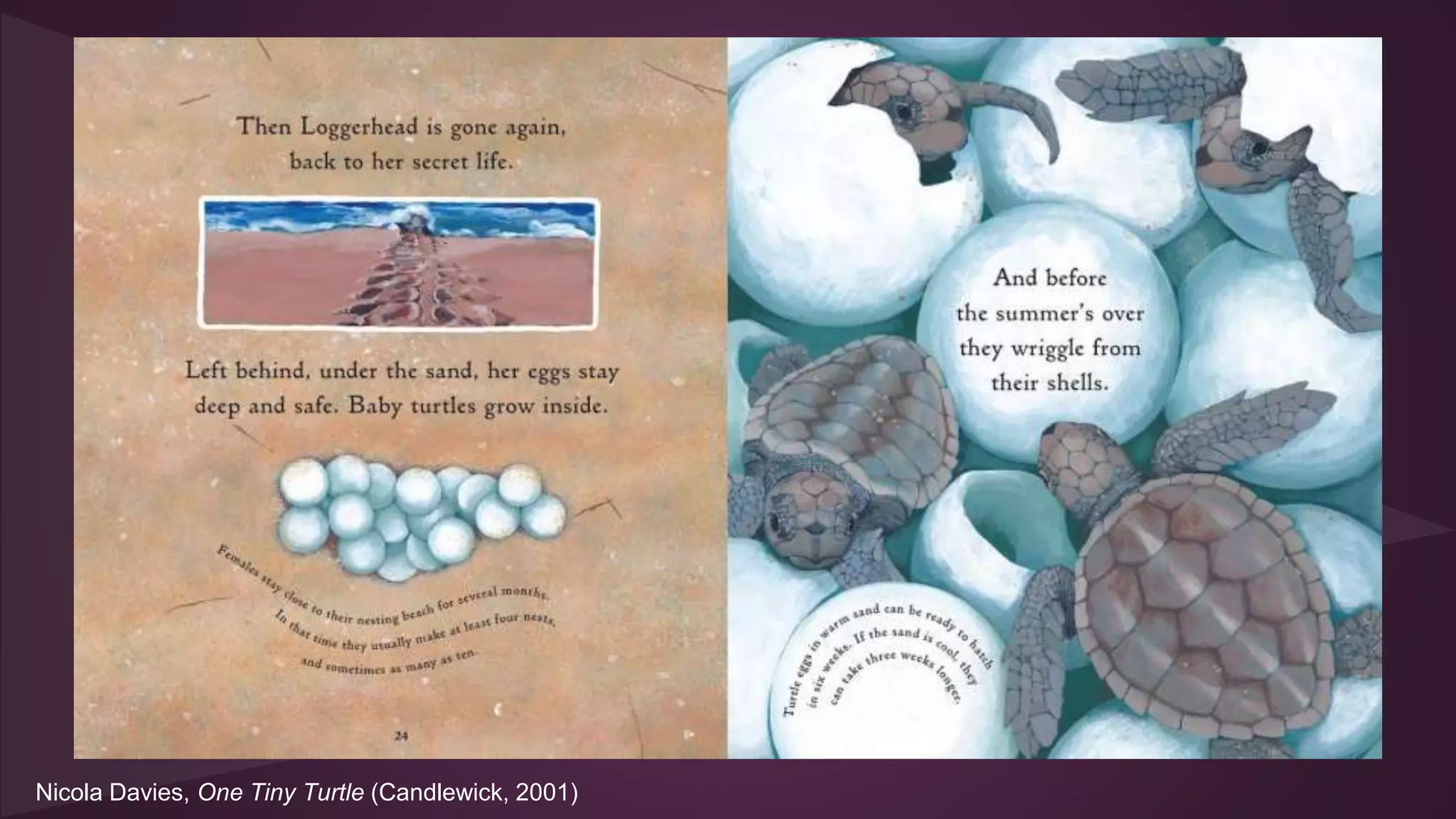 Nicola Davies, One Tiny Turtle (Candlewick, 2001)
 