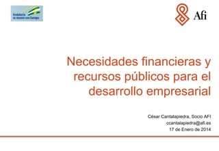 Necesidades financieras y
recursos públicos para el
desarrollo empresarial
César Cantalapiedra, Socio AFI
ccantalapiedra@afi.es
17 de Enero de 2014

 